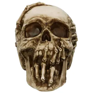 Decorative object skull Rock à Gogo James Ryman - Breaking Out Skull image-3