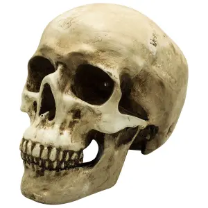 Decorative object skull Rock à Gogo Led Skull image-0