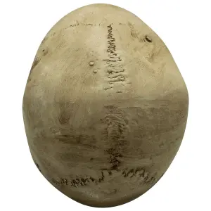 Decorative object skull Rock à Gogo Led Skull image-2