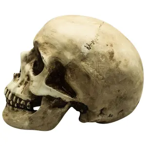 Decorative object skull Rock à Gogo Led Skull image-1