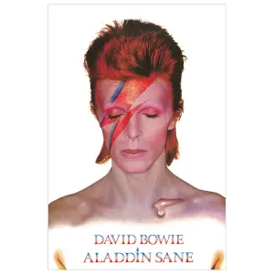 Poster Rock à Gogo David Bowie - Aladdin Sane image-0
