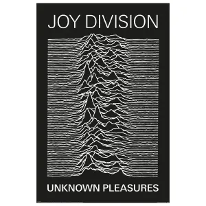 Poster Rock à Gogo Joy Division - Unknown Pleasures image-0