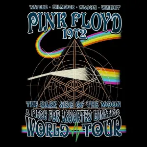 T-shirt Rock à Gogo Pink Floyd Lunatics image-1