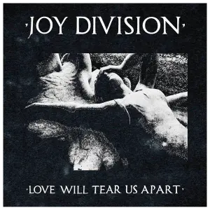 T-Shirt Rock à Gogo Joy Division - Tear Us Apart image-1
