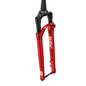Gaffel Rockshox Rudy XL Ultimate Race Day 2