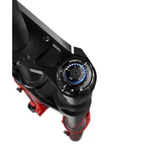 Gaffel Rockshox BoXXer Ultimate Charger3.2 RC2 52 Offset C5/R55 image-3