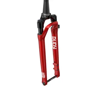 Gabel Rockshox Rudy Ultimate Race Day 2 700c OS45 image-0