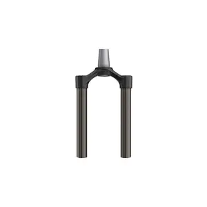 Fork Rockshox Te/Plongeurs - Revelation (2018