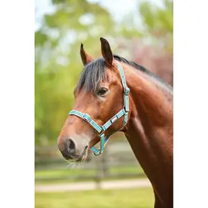 Halfter für Pferd Roma Stripe image-0