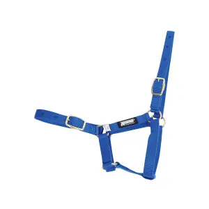 463450-halfter-fur-fohlen-roma-foal-blau-foal