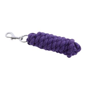 464563-lunghina-cavallo-roma-lead-viola-2-m