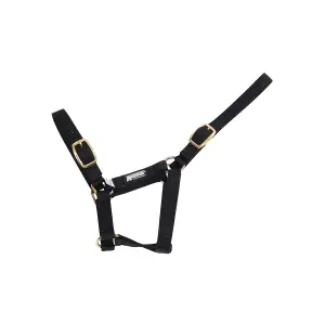 593294-halfter-fur-fohlen-roma-foal-schwarz-foal