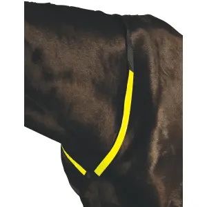 Collare da caccia per cavalli Roma Breastplate image-0
