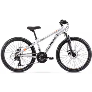 Kinderfahrrad Romet Rambler Dirt 24 image-0