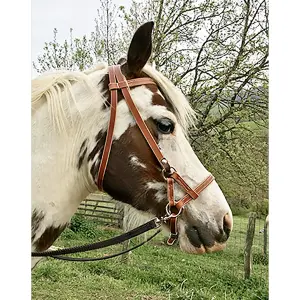 Sidepull för häst i läder Ronzon Legend image-0