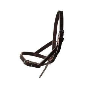 Fohlenhalfter aus chromiertem Leder Ronzon Legend image-0