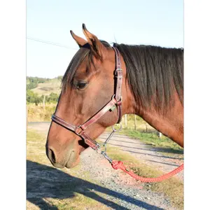 Licol pour pure sang cuir chromé Ronzon Legend image-0