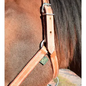 Licol pour pure sang cuir chromé Ronzon Legend image-2