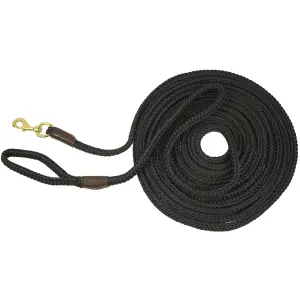 Línea de equitación a girar redonda poli Ronzon Legend Confort Pro image-0