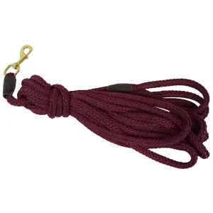 Longe de equitação a girar redonda em poliéster Ronzon Legend Confort Pro image-1