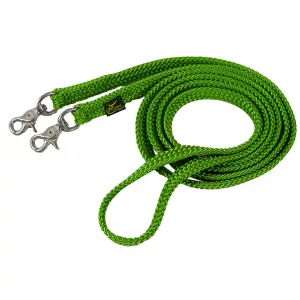 Stigbyglar för hästar platt polytråd Ronzon Legend image-0