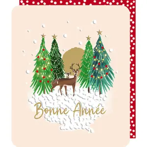 Carta regalo doppia Rosanna Rossi Odyssée Noël image-0