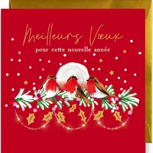Carte double Noel Rosanna Rossi Winter Moon image-0