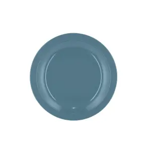 Dinner plate Rosti Hamlet image-0
