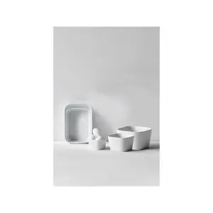 Dish Rosti Modula image-2
