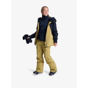 Women's ski Trousers Roxy Passive Lines image-2