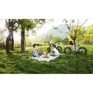 Children's aluminium bike RoyalBaby Space 16 image-3