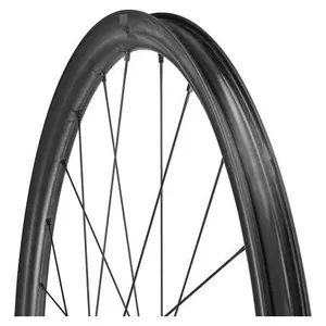 Paar Räder Fulcrum Rapid Red Carbon N3W image-6