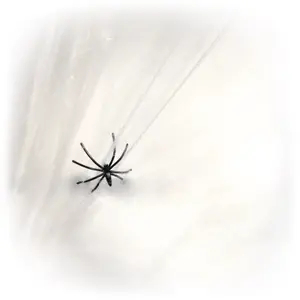 Creative activities canvas with spider Rubie'S France image-2