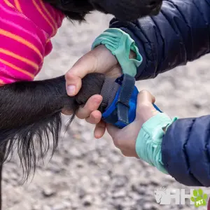 Kutyáknak szánt túracipők Ruffwear Hi & Light image-1