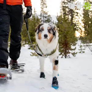 Μπότες για σκύλους Ruffwear Polar Trex image-2