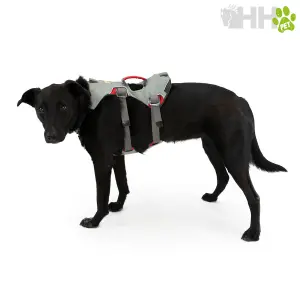Hondentuig Ruffwear DoubleBack image-3