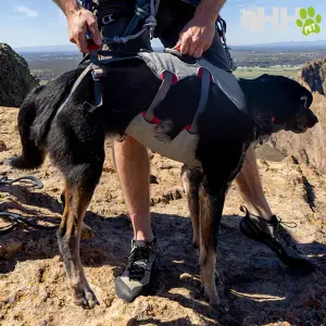 Hondentuig Ruffwear DoubleBack image-4