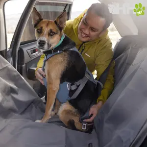 Hondentuig Ruffwear Load Up image-4