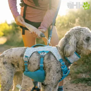 Hondentuig Ruffwear Swamp Cooler image-2