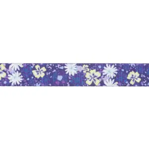 Dog leash Ruffwear Front Range image-1