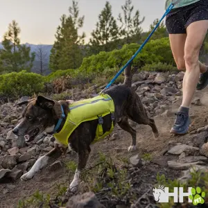 Λουρί για σκύλους Ruffwear Trail Runner image-2