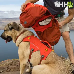 Dog backpack Ruffwear Palisades image-3