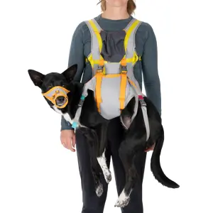 Dog life jacket Ruffwear BackTrak