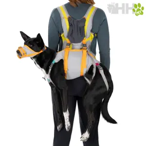Dog life jacket Ruffwear BackTrak image-1