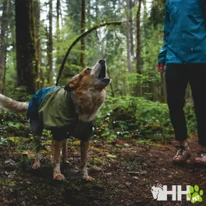 Mackintosh voor honden Ruffwear Sun Shower image-4