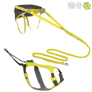 Halsband en tuig voor hond met riem Ruffwear Omnijore