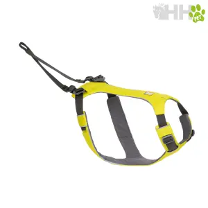 Halsband en tuig voor hond met riem Ruffwear Omnijore image-1