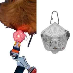 Éclairage de sécurité pour chien Ruffwear Beacon image-0