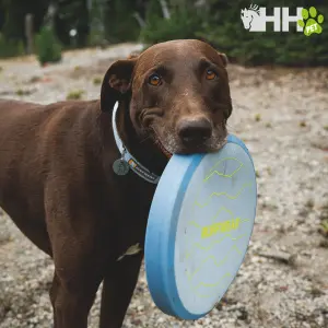 Frisbee pour chien Ruffwear Camp Flyer image-2