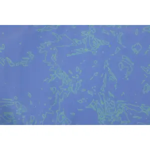 Dog choker Ruffwear Swamp Cooler image-4